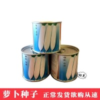 鳳鳴雅世 韓玉白蘿卜種子50克 四季農家蔬菜種子菜種籽種孑批發