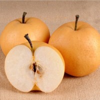 山東萊陽(yáng)豐水梨特5斤6-8粒現(xiàn)摘脆甜梨新鮮水果批發(fā)