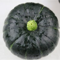 國產貝貝南瓜板栗小南瓜老面南瓜蔬菜壽光倉ERP對接一件代發(fā)