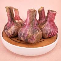 山東大蒜一件代發(fā) 干蒜，大干蒜 專業(yè)倉儲(chǔ) ERP對(duì)接 5斤裝