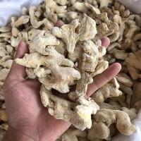 小黃姜 大福龍批發(fā)保質(zhì)量 新貨 姜塊干姜/展銷會(huì)/江湖 /地?cái)?/></a>
<ul><li><a href=