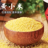 臨朐五谷雜糧粗糧黃小米 農(nóng)家新小米月子寶寶熬粥 廠(chǎng)家支持批發(fā)